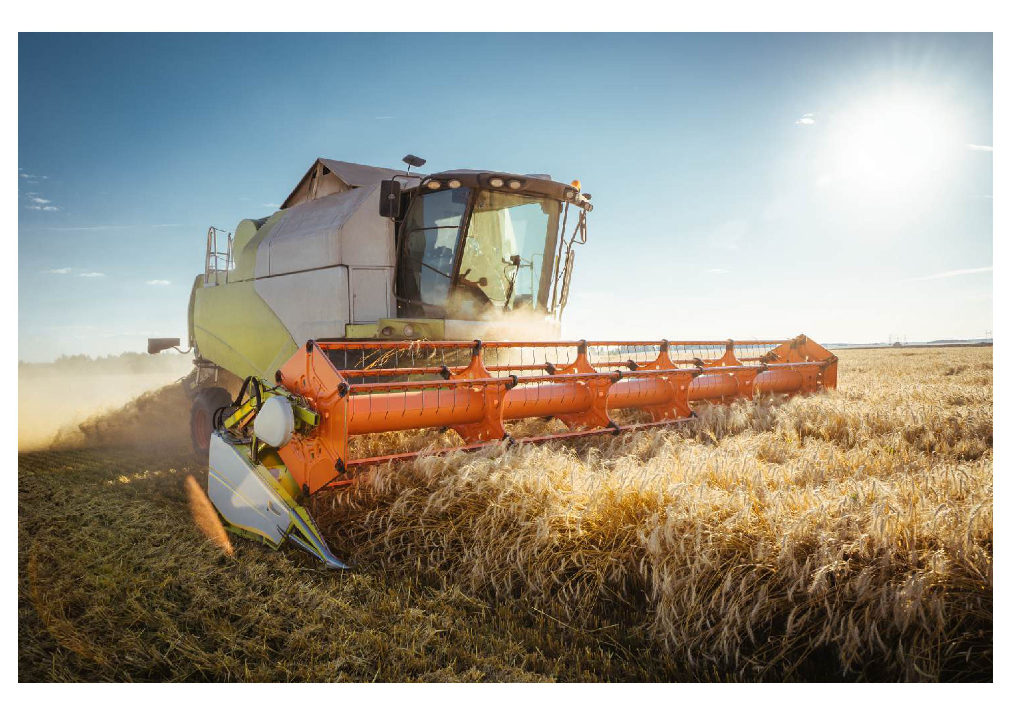 combine-harvester-harvests-ripe-wheat-comprimido.jpg