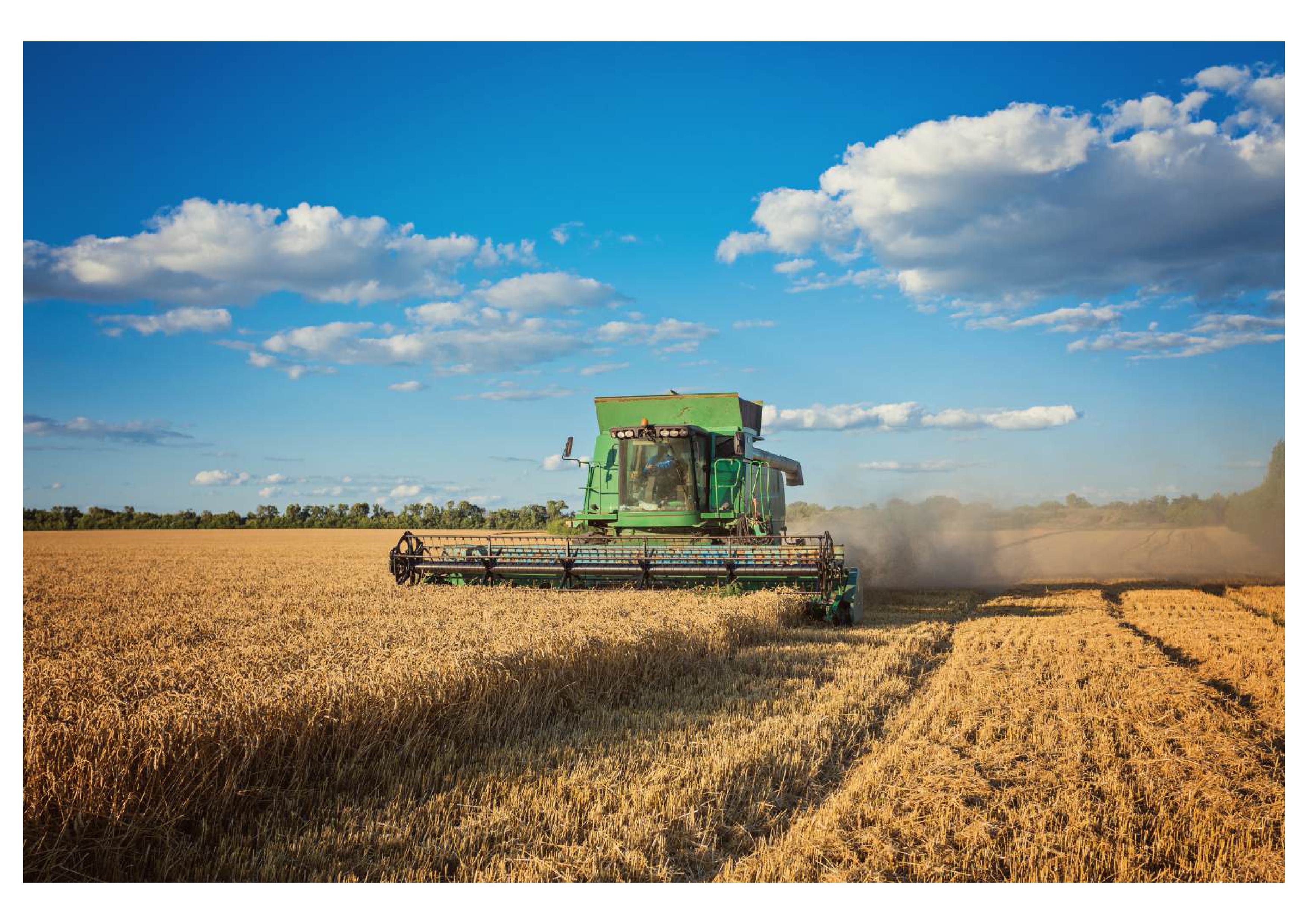 harvesting-combine-field-comprimido.jpg